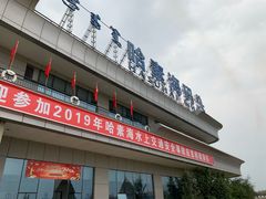 -哈素海