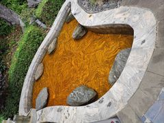 -英德宝晶宫天鹅湖茶语温泉