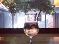 苹果craft&nbsp;beer-ZING鲸鱼啤酒(葡萄院店)