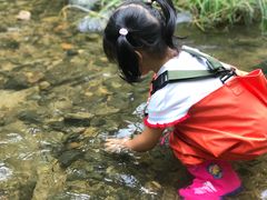 -碓臼峪自然风景区