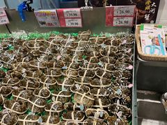 -AEON永旺(东方宝泰店)