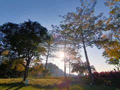 -顺峰山公园