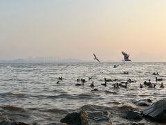 -深圳湾公园(南山区)