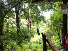 -清迈丛林飞跃 JungleFlight