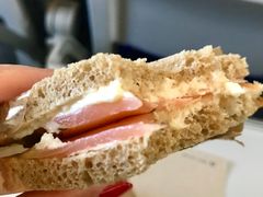 -德国汉莎航空公司