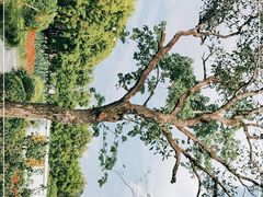 -广东花都香草世界旅游度假区