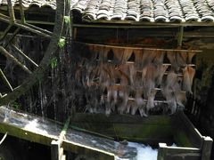 -车溪民俗旅游区