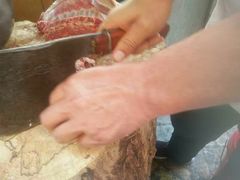 -新疆风味冷水鱼庄(友谊峰路店)