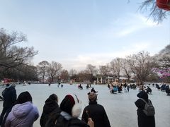 -北陵公园