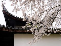 -苏州上方山国家森林公园