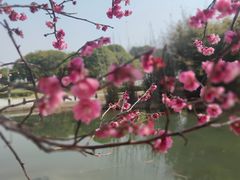 -白塘生态植物园