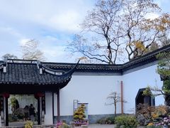 -上海醉白池公园