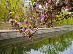 -海棠花溪(元大都城垣遗址公园)