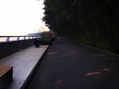 -大湾区中央湿地公园