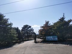 -尚庄度假村·庭台树下·户外烧烤·团建CS·轰趴营地(上庄水库店)