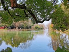 -西溪国家湿地公园