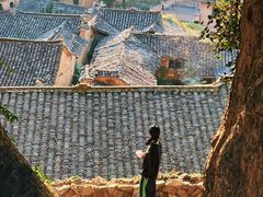 -杨家堂村