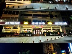 -OLD TREE老树咖啡·西餐厅(台山人工湖店)