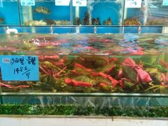 水产区-鑫悦楼煎蟹·16年海鲜大排档