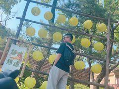 -熙古里艺术村
