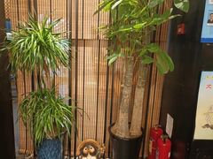 -满来寿喜烧(金虹桥店)