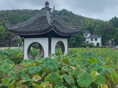 -宜兴张公洞
