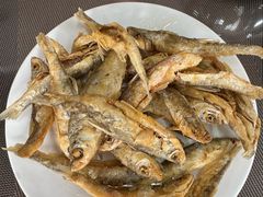 -微山岛春天里酒家