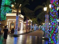 -三亚海昌梦幻海洋不夜城