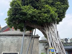 -陈家祠堂-游客中心