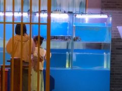 -一品江南韵·淮扬菜