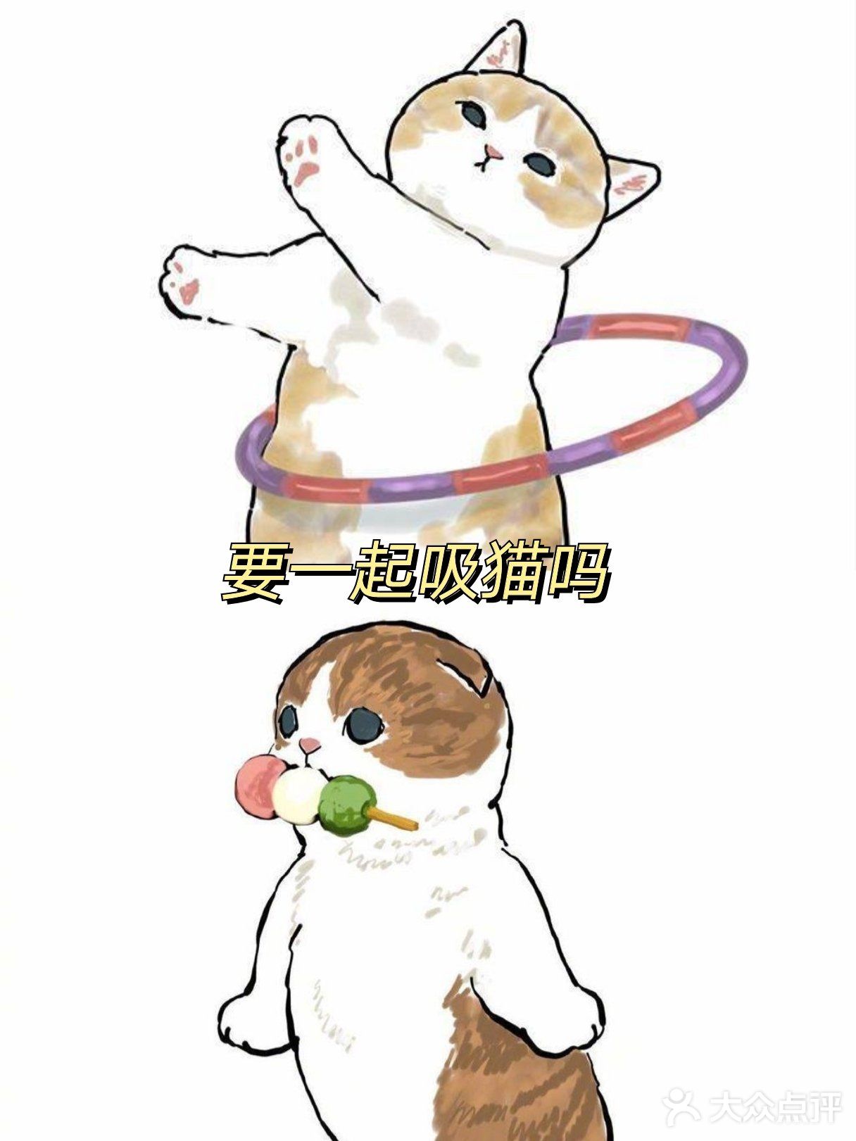 注意！前方有猫咪出没
