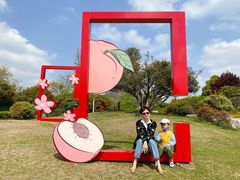 -桃花岛景观公园