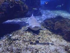 -海合安武汉极地海洋公园