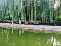 -团结湖公园