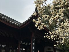 -无锡蠡湖国家湿地公园-蠡园