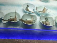 -海玥荟海鲜姿造自助餐厅(欧罗巴广场店)