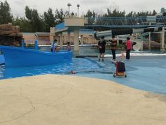 -秦皇岛乐岛海洋王国