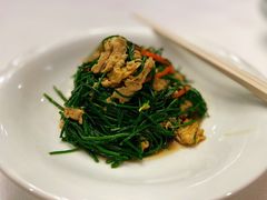 -新疆兵团食府清真(马连道店)