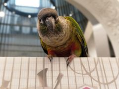 -思南书局·诗歌店