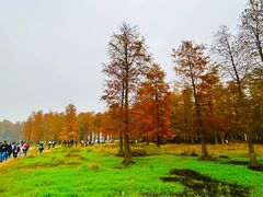 -四明湖