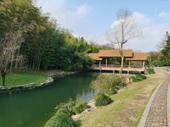 -杭州植物园