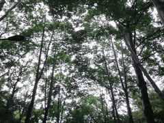 -广州市白云山风景名胜区