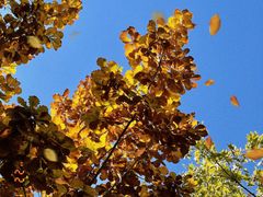 -春晖园度假酒店温泉