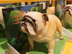 -KKV(深圳宏发大仟里店)