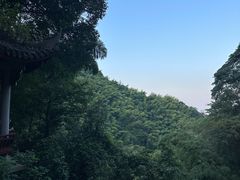 -莫干山风景区