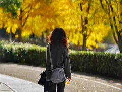 -苏州河梦清园环保主题公园