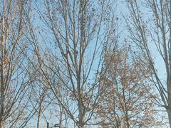 -青州市云门山风景区