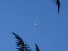 -沐仙湖湿地公园