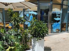 -Blueglass酸奶(财富购物中心店)