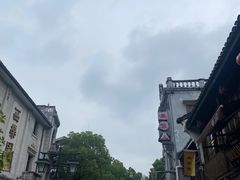-孙奶奶葱包桧